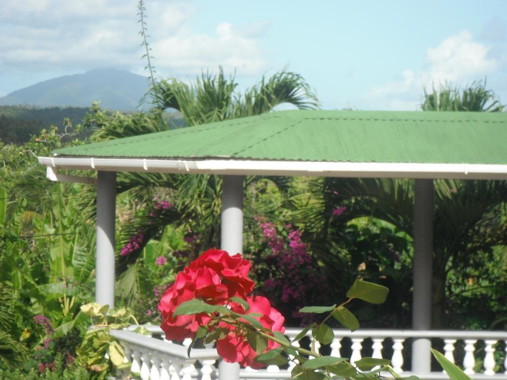 Classique International In Dominica Маріго Номер фото