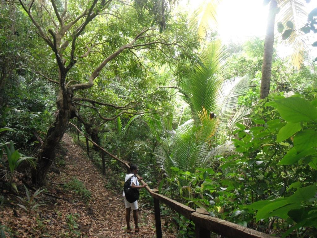 Classique International In Dominica Маріго Екстер'єр фото