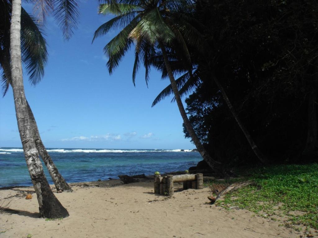 Classique International In Dominica Маріго Екстер'єр фото